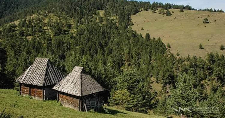 Ribnica naselje - podnožje planine Zlatibor