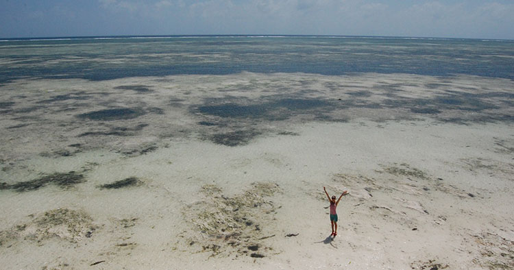 Zanzibar ostrvo atrakcije